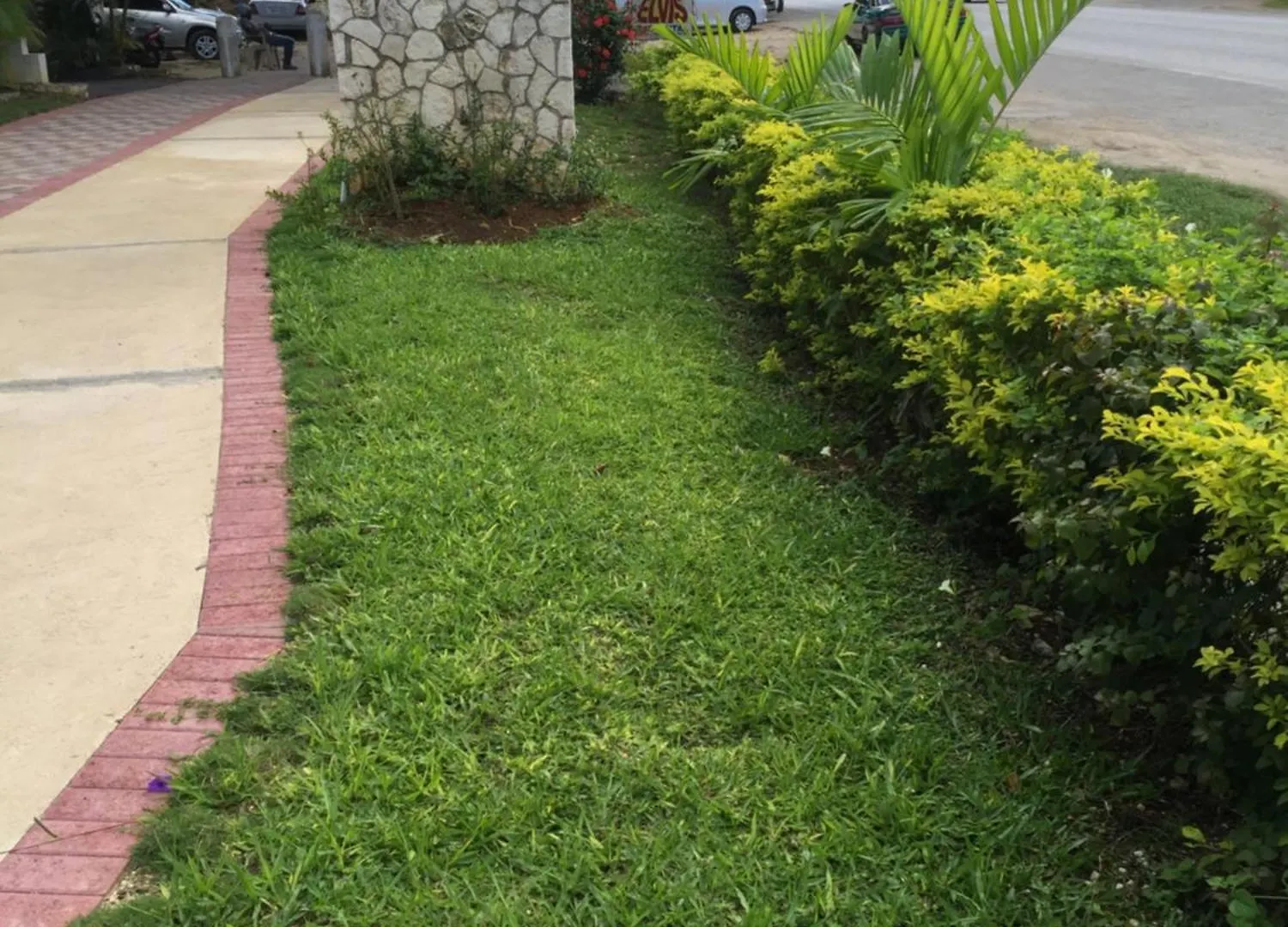 Rayon Hotel Negril 4*,  Jamaica
